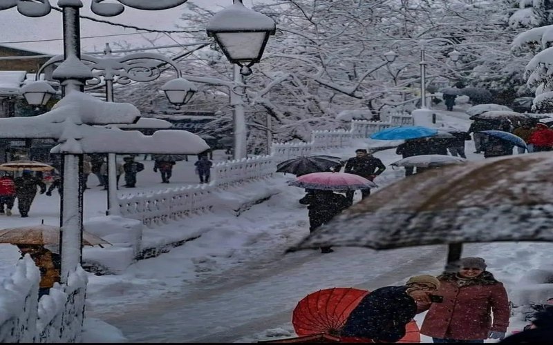 Shimla Tour Packages From Chennai