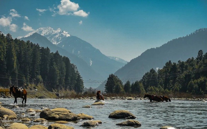 Kashmir Tour Packages From Srinagar