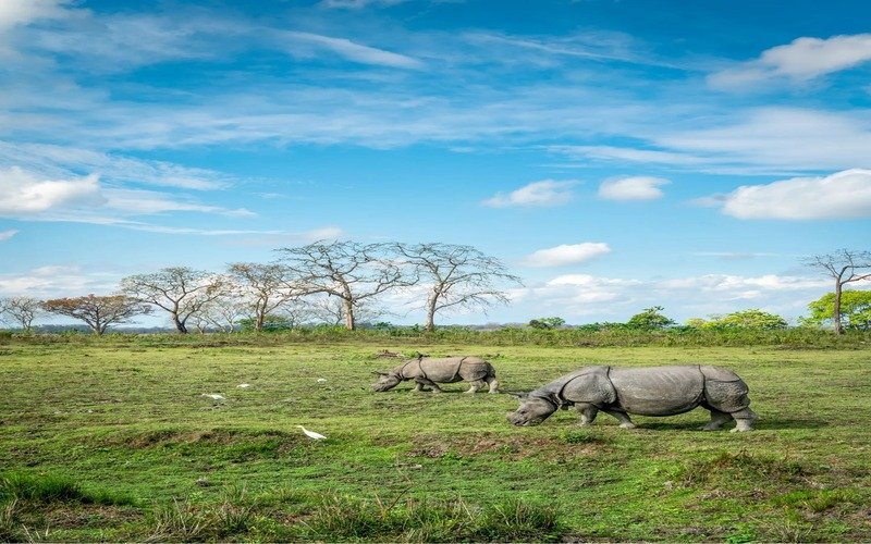 Kaziranga Meghalaya Tour Package