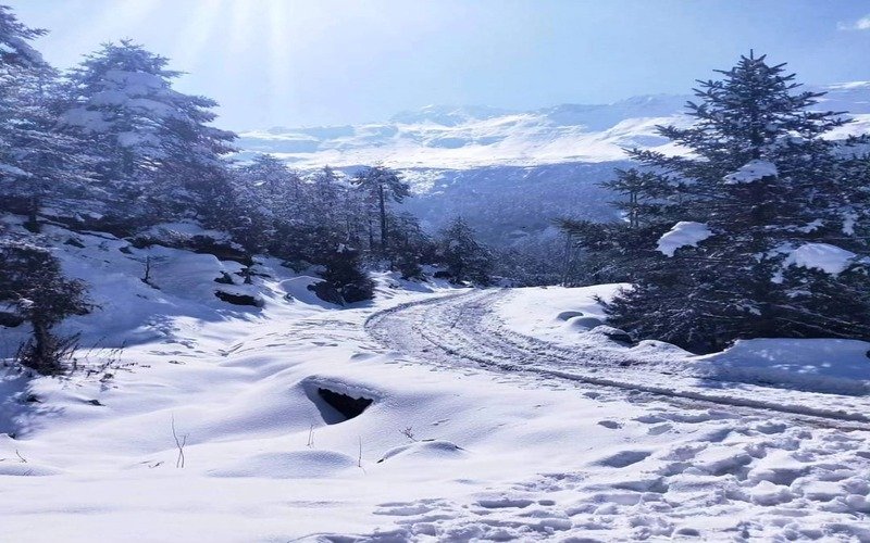 Sikkim Tour Package For Couple