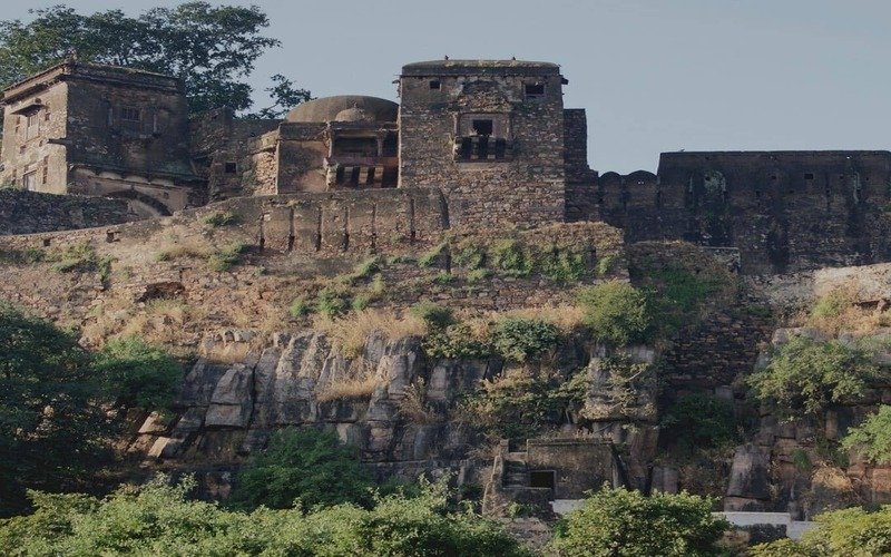 Ranthambore Tour Package From Ahmedabad