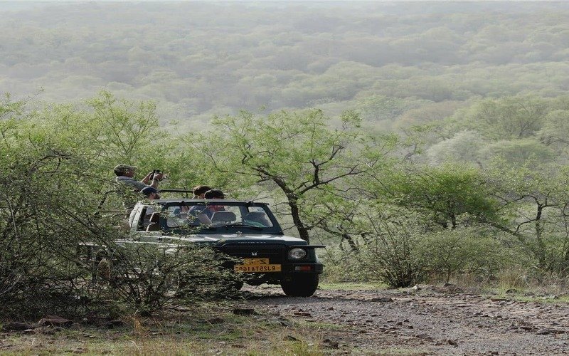 Ranthambore Tour Package From Surat