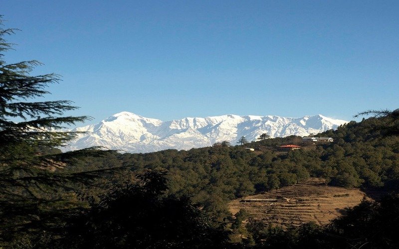 Almora Binsar Tour Package