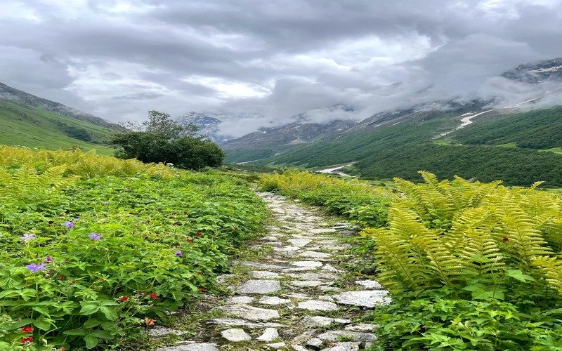 Valley of Flowers Trek Package