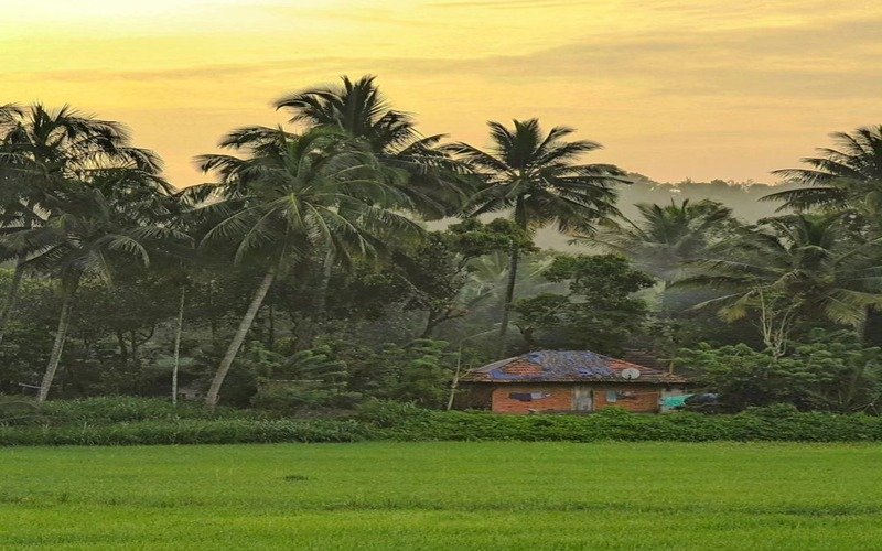 4 Days Wayanad Calicut Tour Package