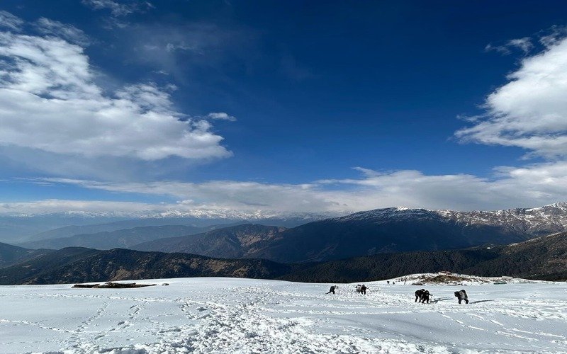 Chopta Tour Package From Delhi