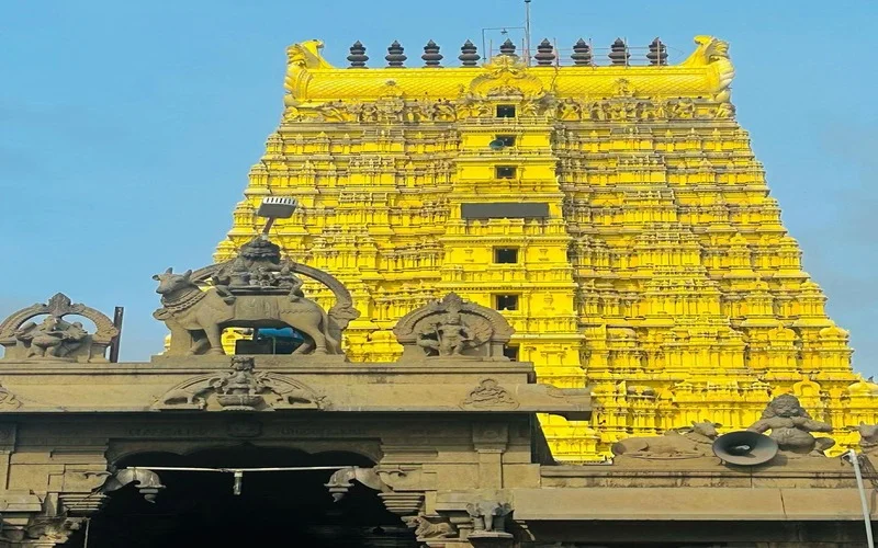 Left Side Image