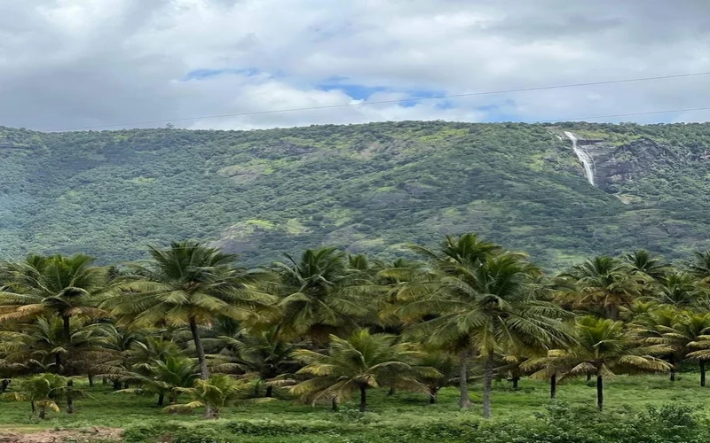 Tour Image 1